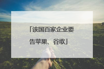 该国百家企业要告苹果、谷歌