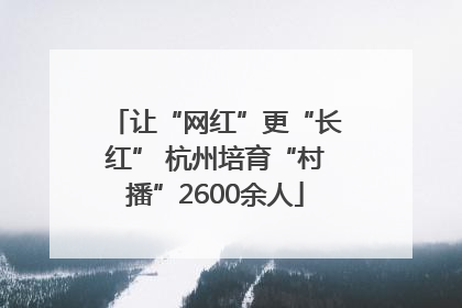 让“网红”更“长红” 杭州培育“村播”2600余人