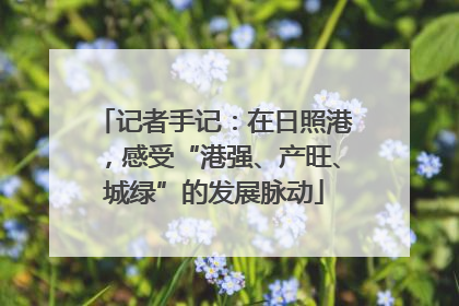 记者手记：在日照港，感受“港强、产旺、城绿”的发展脉动