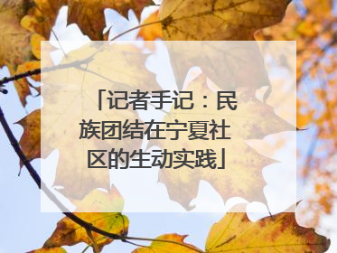 记者手记：民族团结在宁夏社区的生动实践