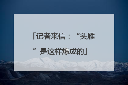 记者来信：“头雁”是这样炼成的