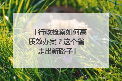 行政检察如何高质效办案？这个省走出新路子