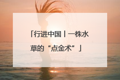 行进中国丨一株水草的“点金术”