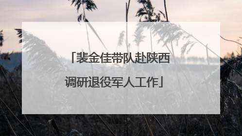 裴金佳带队赴陕西调研退役军人工作