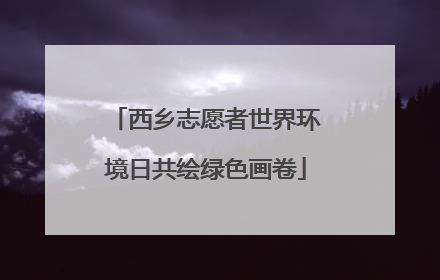 西乡志愿者世界环境日共绘绿色画卷