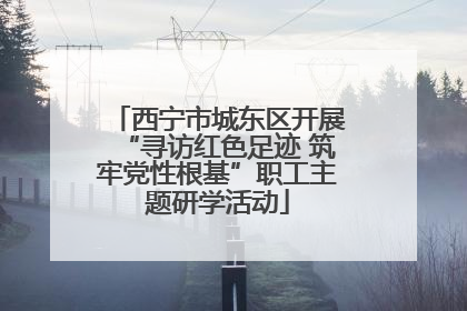 西宁市城东区开展“寻访红色足迹 筑牢党性根基”职工主题研学活动