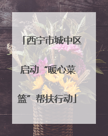 西宁市城中区 启动“暖心菜篮”帮扶行动