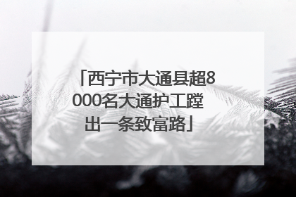 西宁市大通县超8000名大通护工蹚出一条致富路