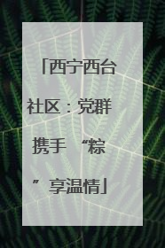 西宁西台社区：党群携手 “粽”享温情