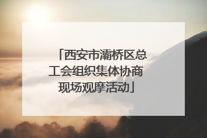 西安市灞桥区总工会组织集体协商现场观摩活动