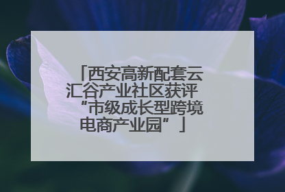 西安高新配套云汇谷产业社区获评“市级成长型跨境电商产业园”