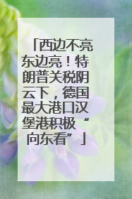 西边不亮东边亮！特朗普关税阴云下，德国最大港口汉堡港积极“向东看”