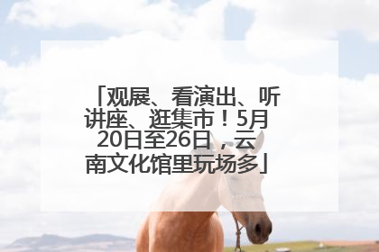 观展、看演出、听讲座、逛集市！5月20日至26日，云南文化馆里玩场多