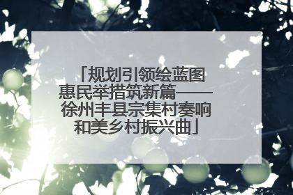 规划引领绘蓝图 惠民举措筑新篇——徐州丰县宗集村奏响和美乡村振兴曲