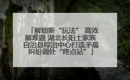 解锁新“玩法” 高效解难题 湖北长阳土家族自治县综治中心打造矛盾纠纷调处“终点站”