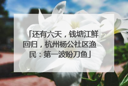 还有六天，钱塘江鲜回归，杭州杨公社区渔民：第一波盼刀鱼