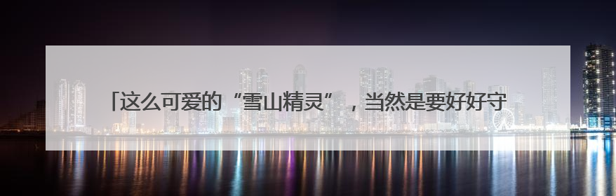 这么可爱的“雪山精灵”，当然是要好好守护啦——有一种叫云南的生活之365天
