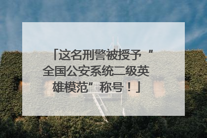 这名刑警被授予“全国公安系统二级英雄模范”称号！