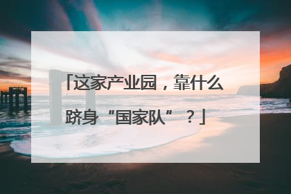 这家产业园，靠什么跻身“国家队”？
