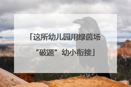 这所幼儿园用绿茵场“破题”幼小衔接
