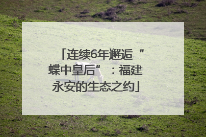 连续6年邂逅“蝶中皇后”：福建永安的生态之约