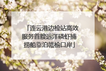 连云港边检站高效服务首艘远洋磷虾捕捞船靠泊赣榆口岸