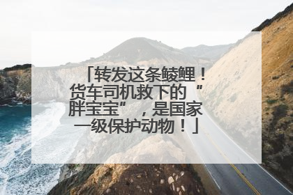 转发这条鲮鲤！货车司机救下的“胖宝宝”，是国家一级保护动物！