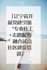 辽宁省开展党建引领“专业社工+志愿服务”融合试点社区建设培训