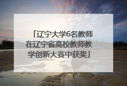辽宁大学6名教师在辽宁省高校教师教学创新大赛中获奖
