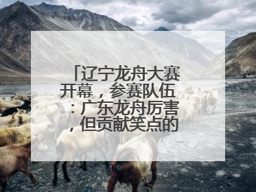 辽宁龙舟大赛开幕，参赛队伍：广东龙舟厉害，但贡献笑点的还是辽宁龙舟