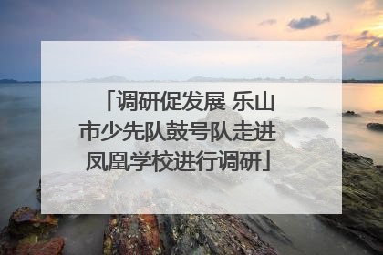 调研促发展 乐山市少先队鼓号队走进凤凰学校进行调研