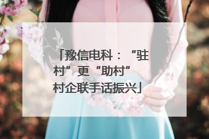 豫信电科：“驻村”更“助村” 村企联手话振兴