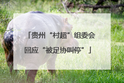 贵州“村超”组委会回应“被足协叫停”