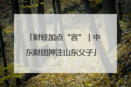 财经加点“言”｜中东财团押注山东父子