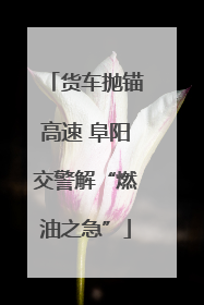 货车抛锚高速 阜阳交警解“燃油之急”