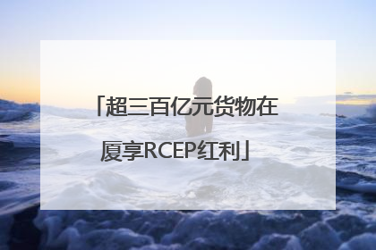 超三百亿元货物在厦享RCEP红利