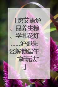 跨艾熏炉、品养生粽、学扎花灯……沪郊朱泾解锁端午“新玩法”