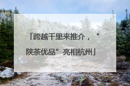 跨越千里来推介，“陕茶优品”亮相杭州