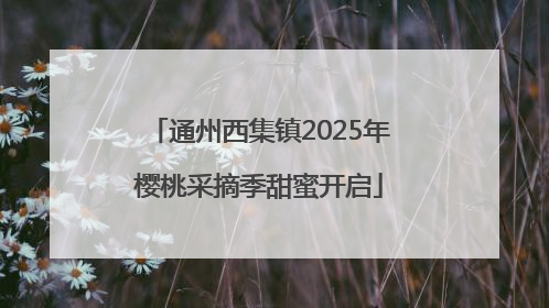 通州西集镇2025年樱桃采摘季甜蜜开启