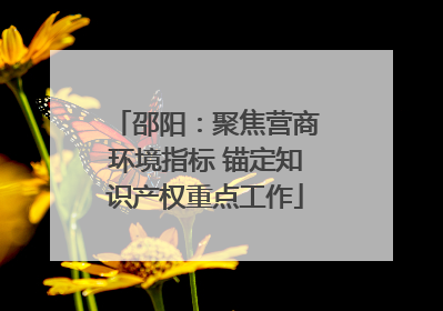 邵阳：聚焦营商环境指标 锚定知识产权重点工作