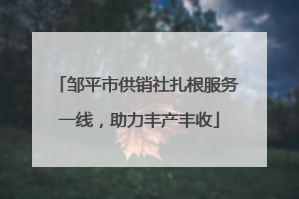 邹平市供销社扎根服务一线，助力丰产丰收