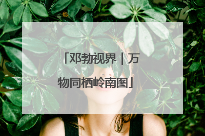 邓勃视界｜万物同栖岭南图