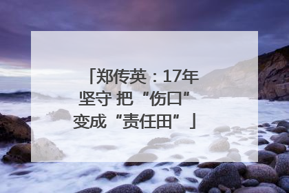郑传英：17年坚守 把“伤口”变成“责任田”