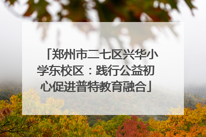 郑州市二七区兴华小学东校区：践行公益初心促进普特教育融合