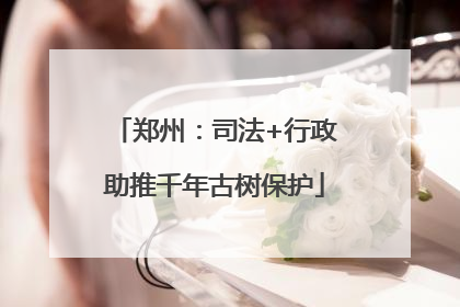 郑州：司法+行政助推千年古树保护