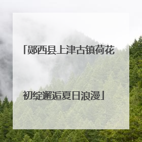 郧西县上津古镇荷花初绽邂逅夏日浪漫