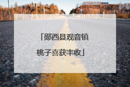 郧西县观音镇桃子喜获丰收