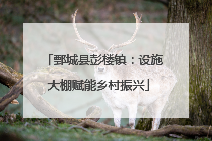 鄄城县彭楼镇：设施大棚赋能乡村振兴