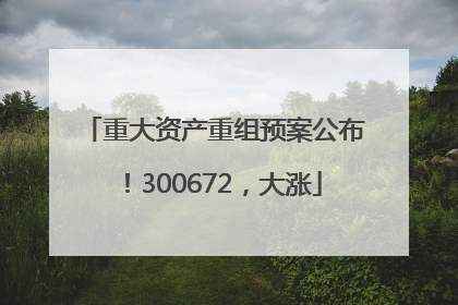 重大资产重组预案公布！300672，大涨