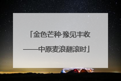 金色芒种·豫见丰收——中原麦浪翻滚时